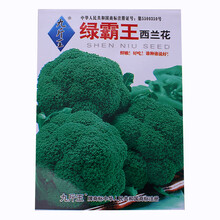 绿霸王西兰花种子四季播种蔬菜种子青花椰菜种子大面积种植花菜籽 绿霸王西兰花G51