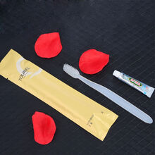 两面针 途悦一次性牙具 宾馆酒店磨尖丝牙刷牙膏套装20支