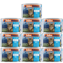 K9 Natural猫罐头170g主粮猫粮无谷主食罐头成猫幼猫通用新西兰feline猫罐头 牛肉170G*10罐