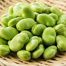 寿禾 大蚕豆种子种籽兰花豆北斗七星四季架豆 高产农家自种春秋冬季播种蔬菜菜籽四季播易种豆类菜籽 北斗七星蚕豆种子200g简装