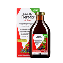 【直邮】Salus Floradix莎露斯铁元红铁绿铁德国进口女性孕妇儿童补铁补血果蔬营养 女性补铁口服液500ml*1瓶装