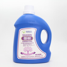 傻根 园林植物专用新型生根剂 大树移栽生根液  树木生根 傻根1桶