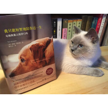 我只能短暂地陪你过一生（孙俪感动作序推荐）