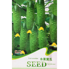 禾花楹蔬菜种子 春秋水果黄瓜种子 日本小黄瓜种子 青瓜种籽 菜籽耐热脆嫩清香旱黄瓜种子刺瓜短棒黄瓜籽 水果黄瓜种子 20粒/包