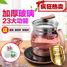 养生壶全自动加厚玻璃电煮茶壶中药壶煎药大容量2-2.5l黑茶 香槟金色+酸奶盒蛋架除垢剂抢购四 2.5L