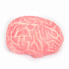 盛泉鬼节用品 万圣节道具 鬼屋装饰 逼真 整蛊道具恐怖血断手断脚 胶皮仿真大脑