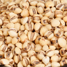 食味草 炒薏米1000克（一公斤） 熟薏米茶 炒薏苡仁可磨粉