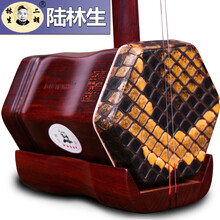 依之木 康伯宁 陆林生印度五星紫檀二胡传统手工民族乐器专业演奏二胡