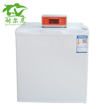 恒温冰箱 猪精17度恒温冰箱 智能温控冰箱 猪精冷藏箱 50L猪精恒温箱
