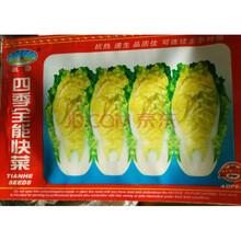 TLYY新品袋装蔬菜种子阳台庭院盆栽水果辣椒番茄西红柿养心菜 四季全能快菜