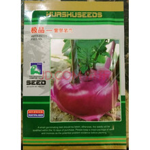 TLYY新品袋装蔬菜种子阳台庭院盆栽水果辣椒番茄西红柿养心菜 紫翠苤兰