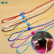 仓鼠绳子松鼠荷兰猪牵引绳遛鼠绳溜兔绳魔王金丝熊刺猬用品