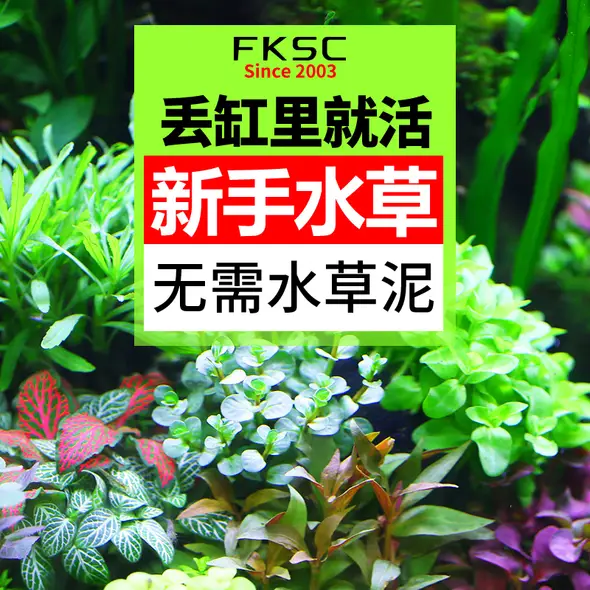 疯狂水草官方旗舰店