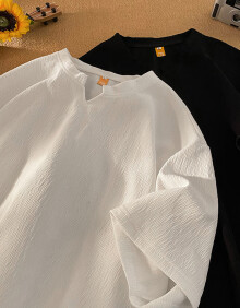 Shelley Jones肌理感V领短袖t恤男士2024夏季新款美式复古宽松半袖休闲潮流体恤 白色 XL [建议125-145斤]