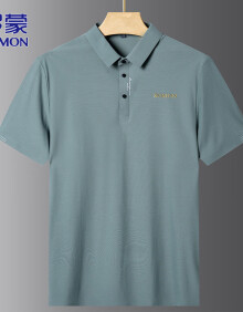 罗蒙（ROMON）短袖男夏季冰丝短袖T恤男士Polo.衫商务休闲衣服男装 草绿色 XL 