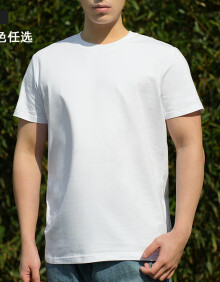 NO NEED INDEED（新品）200g棉氨纶标准款纯色t恤打底 白色（标准版） L