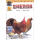 农业科技丛书怎样配鸡饲料