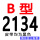 B-2134 Li