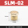 SLM02(1/4) 平头