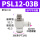 PSL12-03B