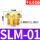 SLM-01平头铜1分