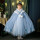 蓝色裙+披纱+皇冠+魔法棒+斗篷