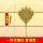 【3号】竹扫把一体 普通1.69米 【大扫把】