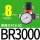 BR3000带2只PC8-03