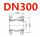 DN300(国标)