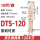 DTS-120（10只/包）