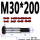 M30*200（1支）