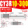 CY3R10-300