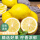 柠檬4个中果单果80g+