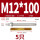 M12*100(304)(5个)