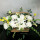 8朵白菊+2朵百合