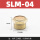 SLM-04(1/2) 平头