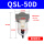QSL-50D自动排水2寸/10公斤