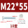 M22*55(10套)