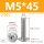 M5*45(10个)