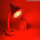 飞利浦250W红外线灯泡(红光)配