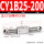 CY1B25-200