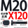 M20X120【45#钢T型】