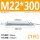 M22*300(1只)