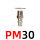 PM30