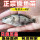 500条 白眼鳜鱼1-2厘米