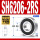 SH6206RS胶封(30*62*16)