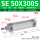 SE50X300S