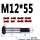 M16*65（2支）