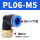 PL06-M5