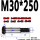 M30*250（1支）